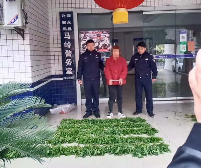 毒偏方，瀘州兩女子深山種罌粟2000余株(圖6)