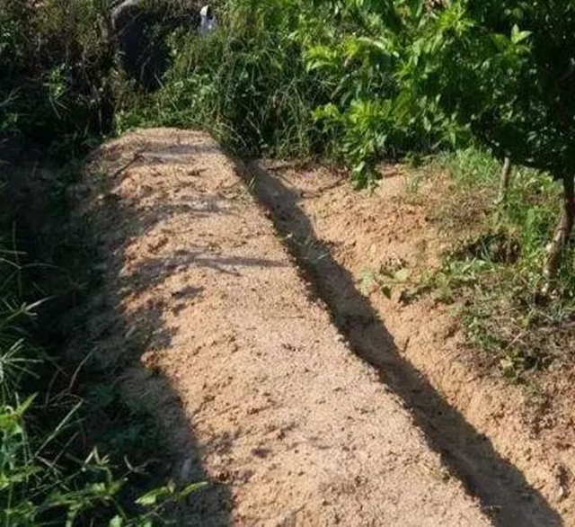 瀘州：為搶毛竹嬢嬢出手傷人，法官化積怨鄰里握手言和(圖3)