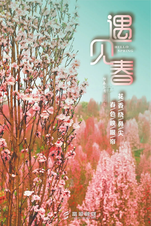 春至“豆花城” | 富順周末踏青來(lái)這就對(duì)了！(圖2)