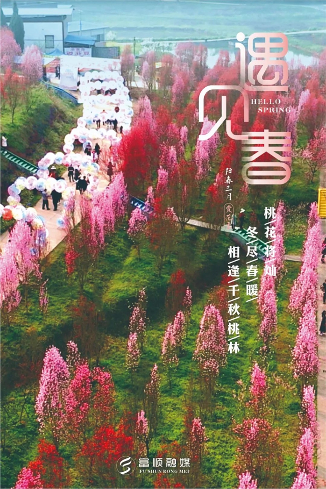 春至“豆花城” | 富順周末踏青來(lái)這就對(duì)了！