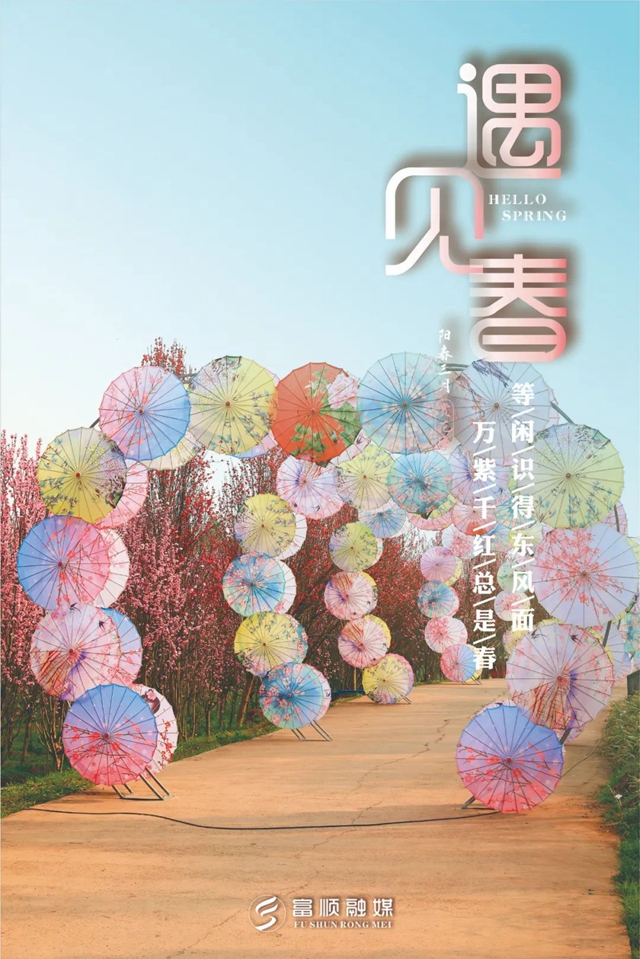 春至“豆花城” | 富順周末踏青來(lái)這就對(duì)了！(圖3)