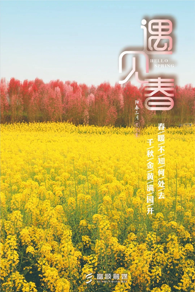春至“豆花城” | 富順周末踏青來(lái)這就對(duì)了！(圖5)