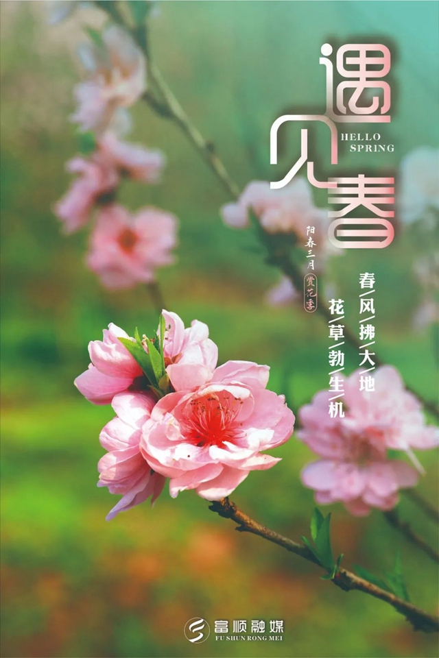 春至“豆花城” | 富順周末踏青來(lái)這就對(duì)了！(圖6)