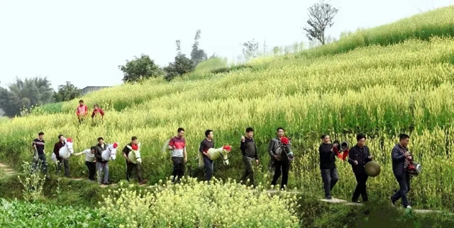 藏不住了！瀘縣這條茶馬古道，盡顯歷史風(fēng)韻！(圖8)