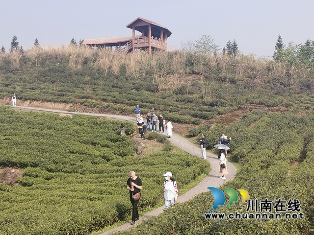 文學助力鄉(xiāng)村振興！瀘州詩人瀘縣道林溝采風活動暨改稿會舉行(圖2)