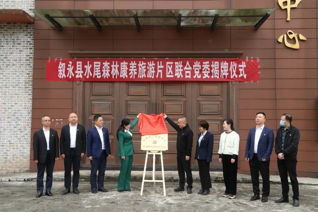 聯(lián)合聚力 抱團(tuán)共贏 ▏敘永縣六大片區(qū)聯(lián)合黨委揭牌成立(圖1)