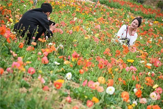 一年四季都有花賞，隆昌這個(gè)景區(qū)太安逸了！(圖2)