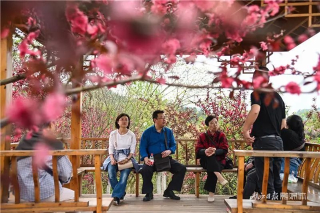 一年四季都有花賞，隆昌這個(gè)景區(qū)太安逸了！(圖8)