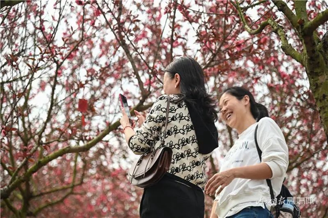 一年四季都有花賞，隆昌這個(gè)景區(qū)太安逸了！(圖10)