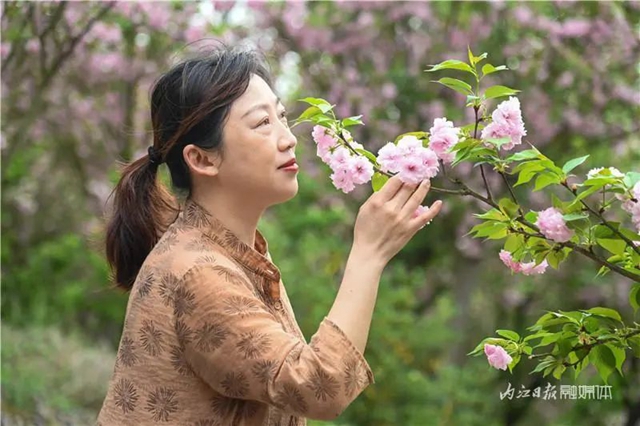 一年四季都有花賞，隆昌這個(gè)景區(qū)太安逸了！(圖12)
