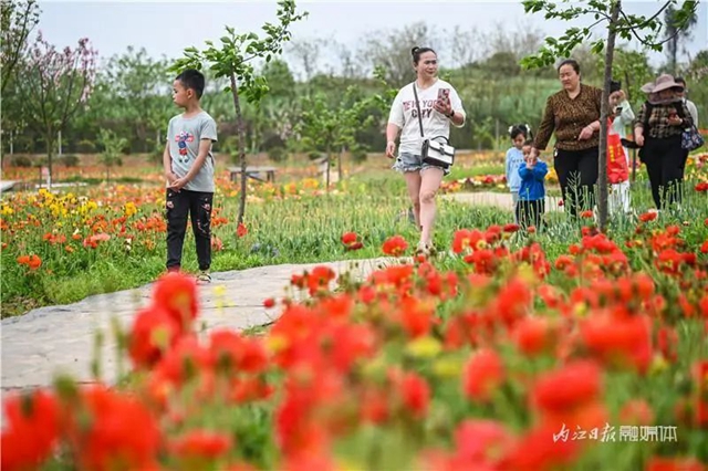 一年四季都有花賞，隆昌這個(gè)景區(qū)太安逸了！(圖13)