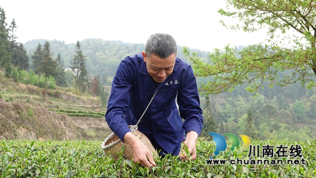 古藺鄉(xiāng)賢吳興杰：堅守創(chuàng)業(yè)初心 助推鄉(xiāng)村振興(圖2)