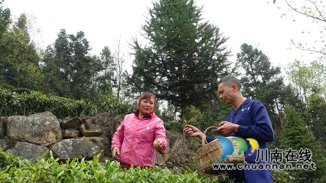 古藺鄉(xiāng)賢吳興杰：堅守創(chuàng)業(yè)初心 助推鄉(xiāng)村振興(圖7)