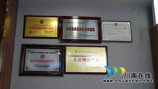 古藺鄉(xiāng)賢吳興杰：堅守創(chuàng)業(yè)初心 助推鄉(xiāng)村振興(圖13)