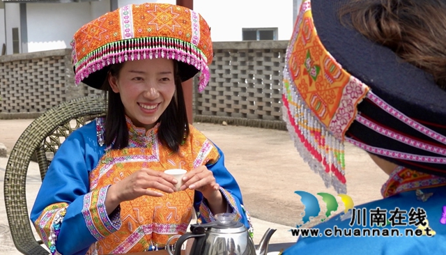 古藺：苗家兒女的大茶樹(shù)(圖4)
