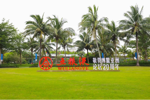 營收突破1600億！宜賓對(duì)外發(fā)布2021年度白酒產(chǎn)業(yè)年鑒(圖7)