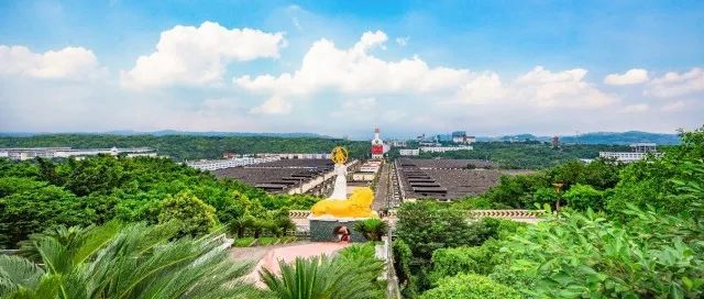 營收突破1600億！宜賓對(duì)外發(fā)布2021年度白酒產(chǎn)業(yè)年鑒(圖4)