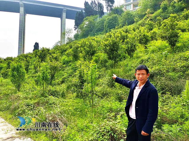 納溪旅游風景區(qū)再添新成員！古龍大瀑布景區(qū)＂五一＂開門迎客(圖6)