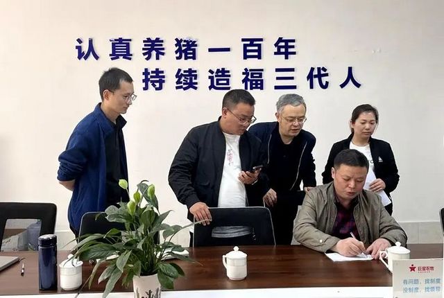 保費5萬多元，理賠76.8萬元！瀘州人保財險完成全市首筆生豬出欄價格賠款