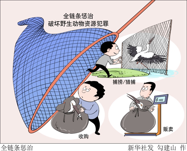 這些珍稀野生動物違法交易是如何發(fā)生的？(圖2)