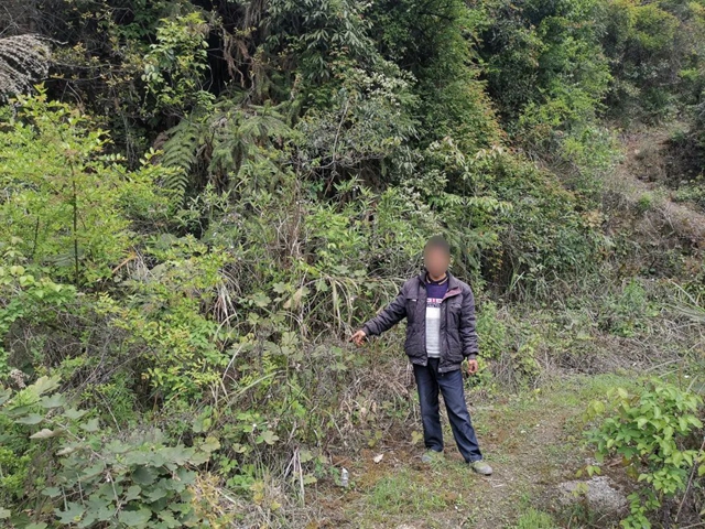 敘永：豹貓剝皮，畫眉售賣，警方蹲守9小時(shí)抓獲狩獵男子！(圖2)