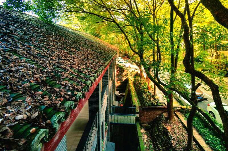 瀘州高中公開考核招聘教師(圖7)