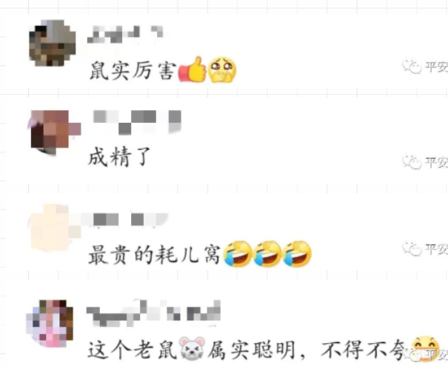 任性！用現(xiàn)金筑房，“一只耳”豪宅被警方拆除(圖5)