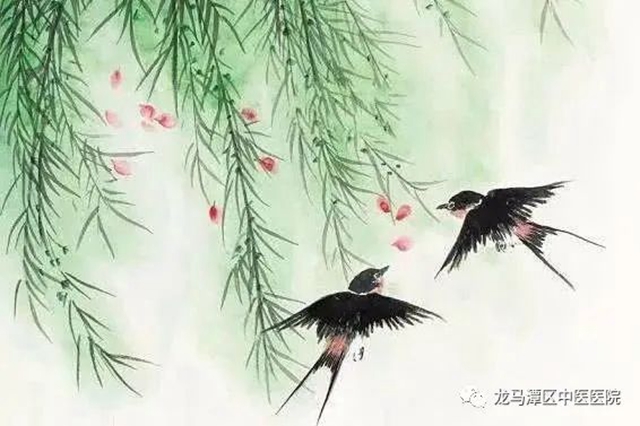 【谷雨養(yǎng)生】重在“三點(diǎn)”，龍馬中醫(yī)敲黑板！(圖2)