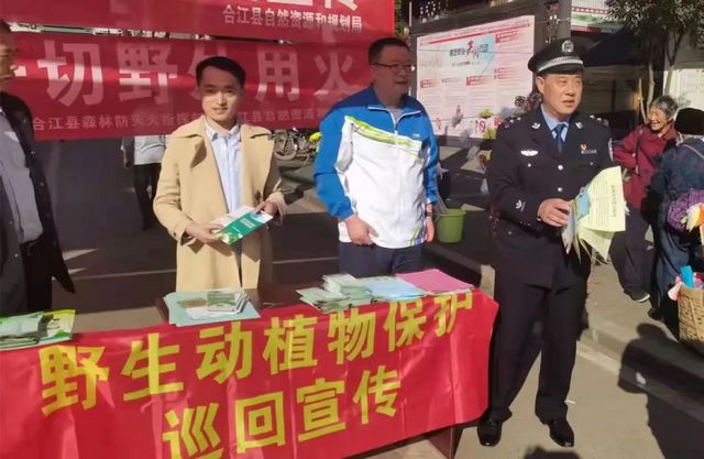 深夜打鳥練“絕技”？合江兩男子涉嫌非法狩獵！(圖2)