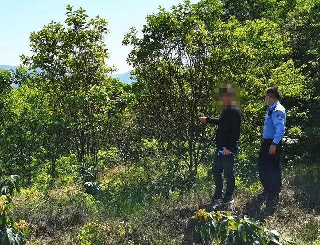 深夜打鳥練“絕技”？合江兩男子涉嫌非法狩獵！