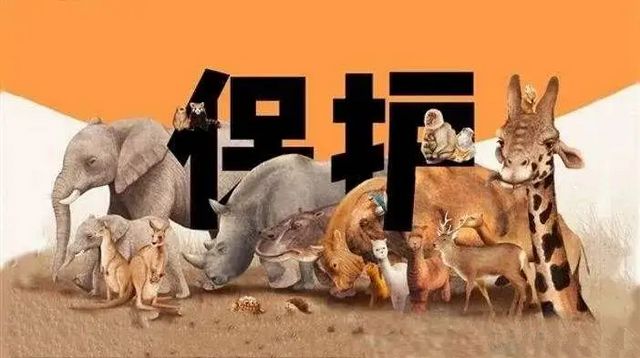 深夜打鳥練“絕技”？合江兩男子涉嫌非法狩獵！(圖8)