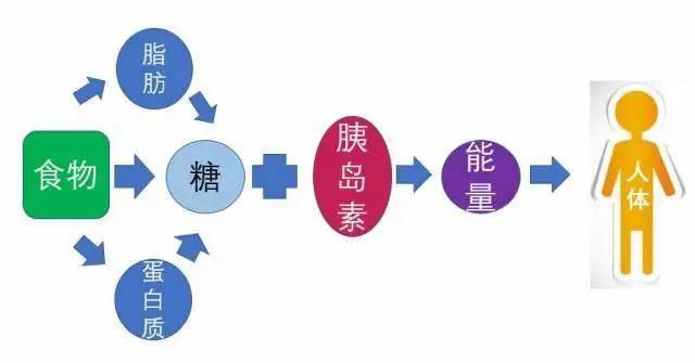 【直播預(yù)告】只要一小時，專家在線教你控血糖！(圖2)