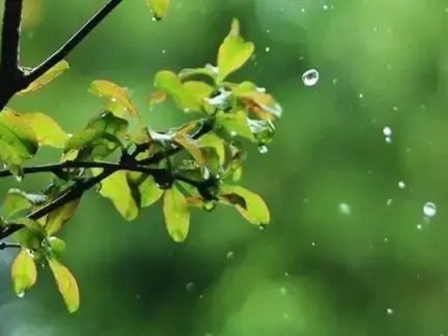 【關(guān)注】不開刀不手術(shù)，頸椎病竟可以用美食調(diào)理？