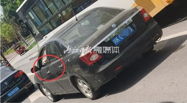 網(wǎng)友舉報：有人抱著狗開車！內(nèi)江交警：安排！