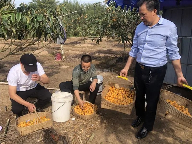 被隆昌人破防！賣枇杷的小男孩——