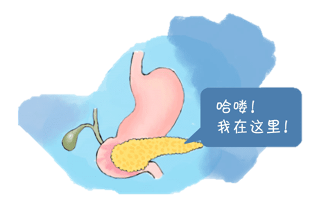 “憨吃傻脹”就要遭？胰腺炎和喝酒吃肉究竟有沒有關(guān)系？