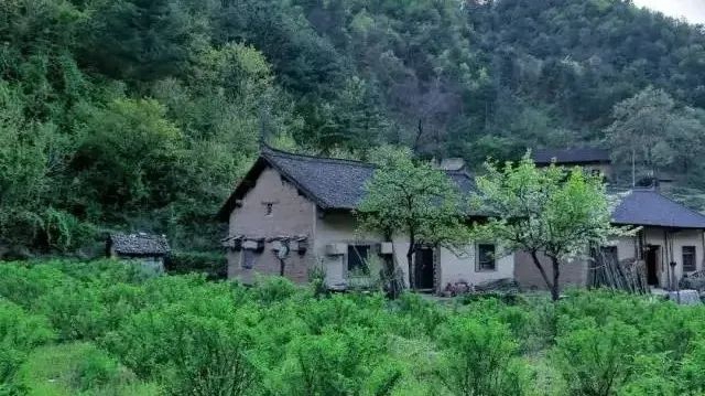 神秘“雞販子”被敘永公安抓獲！