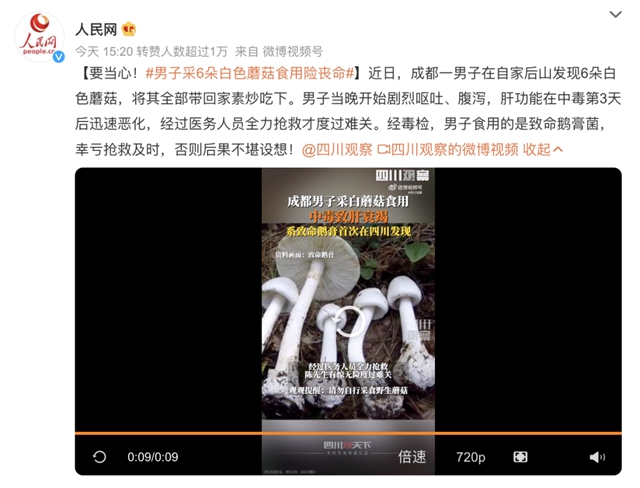 【四川首“發(fā)”】“毒王”蘑菇！一男子又遭了
