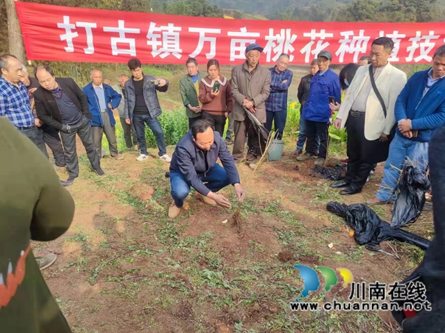 瀘州盟員同昭林：扎根基層，一心撲到鄉(xiāng)村振興道路上