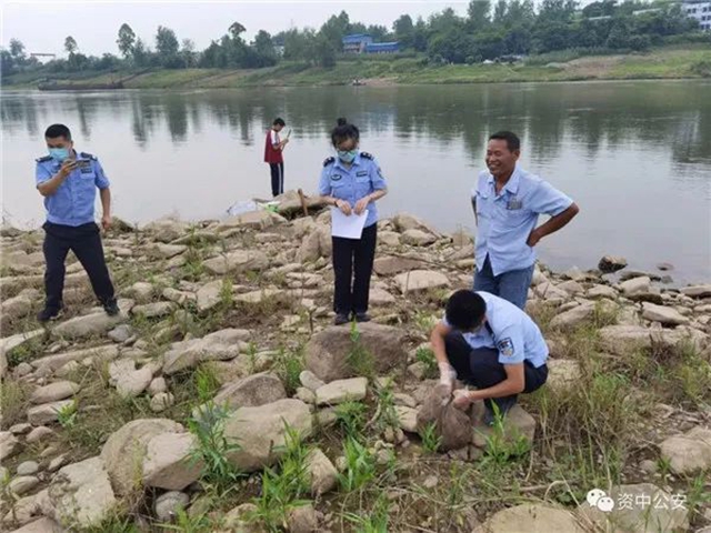 涉嫌犯罪！偷逮“賴克寶”，兩男子被資中警方擋獲