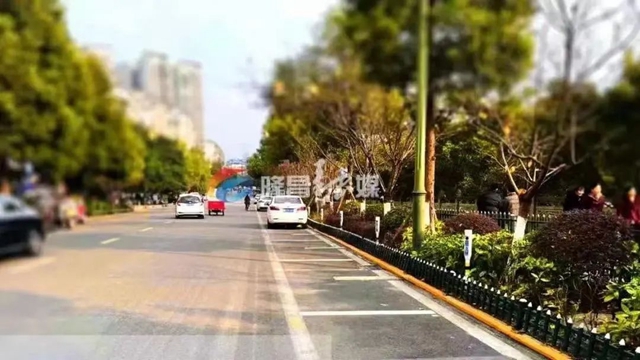 超過3分鐘算違停！隆昌42條道路實施交通嚴管
