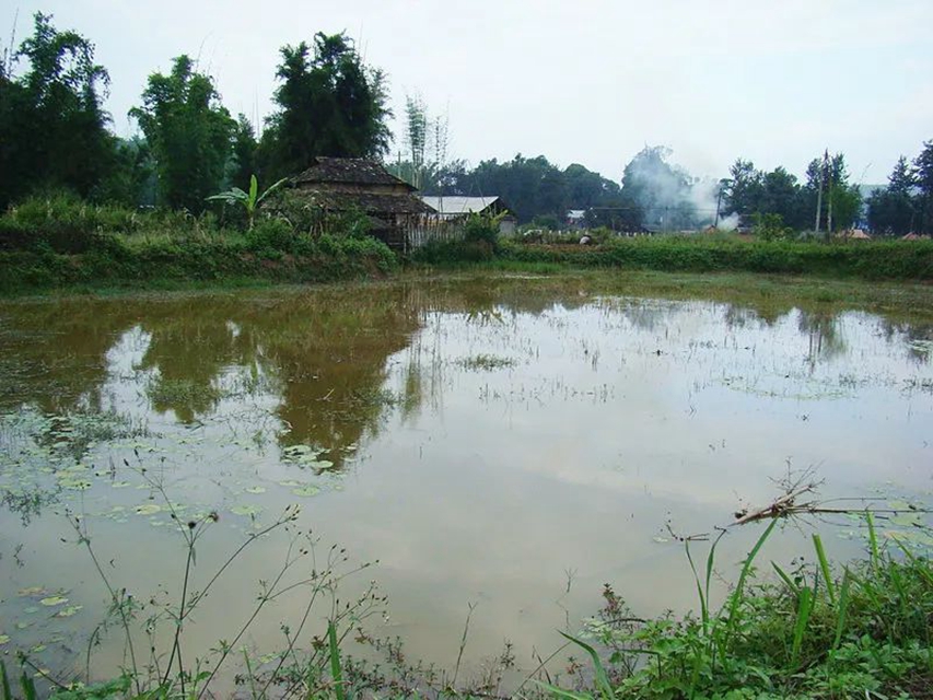 酒麒麟·示范創(chuàng)建 | 江陽法院：“喂魚田”漲水引糾紛，法官現(xiàn)場勘驗促調(diào)解