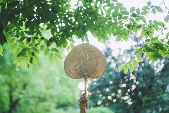 熱2.jpg