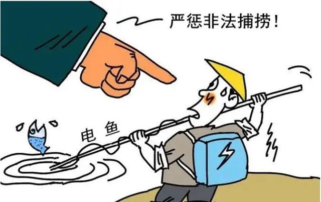 瀘州：禁漁期“頂風(fēng)作案”，3人獲刑