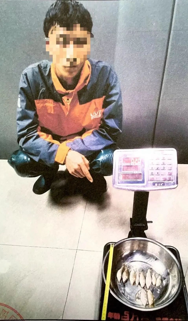 魚5.jpg