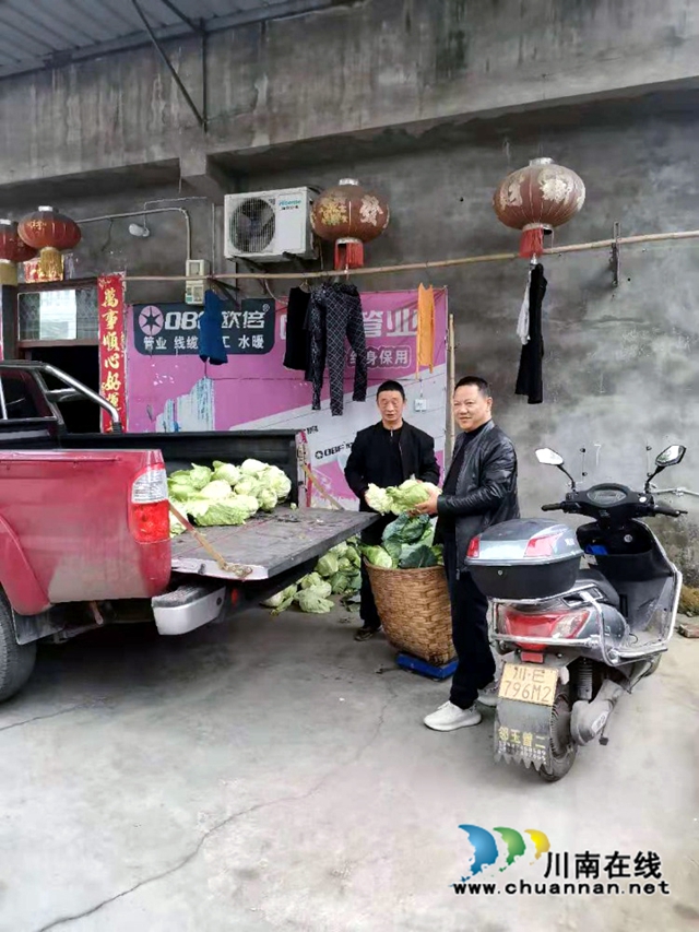 馬芝良收購(gòu)徐正芬家的蔬菜.jpg