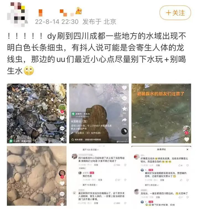 龍線蟲熱搜第一！四川疾控回應(yīng)了