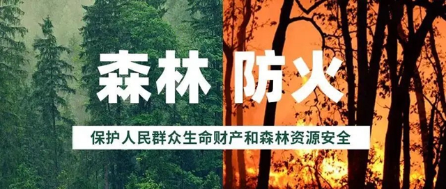 合江這三個(gè)人違規(guī)野外用火！罰！