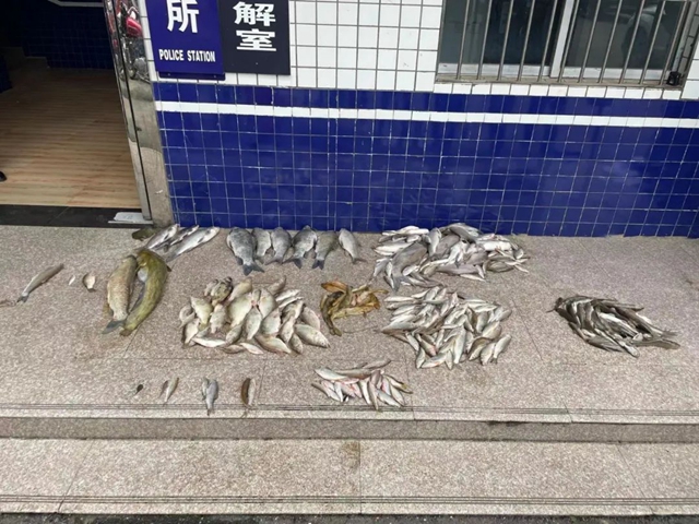 魚1.jpg