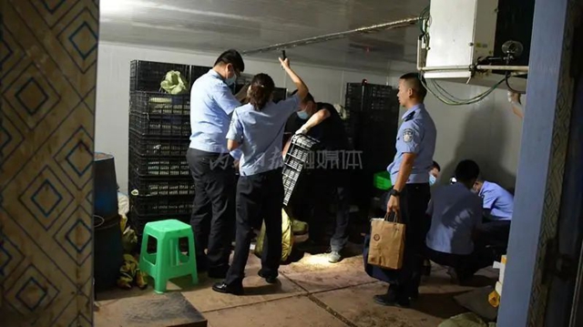 救出5000余只“被囚”蟾蜍！內(nèi)江經(jīng)開(kāi)區(qū)警方：私自捕捉20只以上就構(gòu)成犯罪